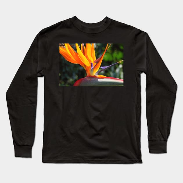 Bird of Paradise or Crane Lily Long Sleeve T-Shirt by Carole-Anne